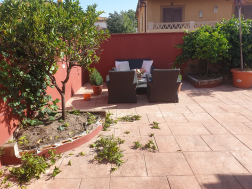 Rincón antes poveda paisajismo trujillo