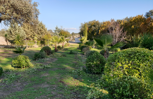 poda jardinería trujillo mantenimiento de jardines trujillo