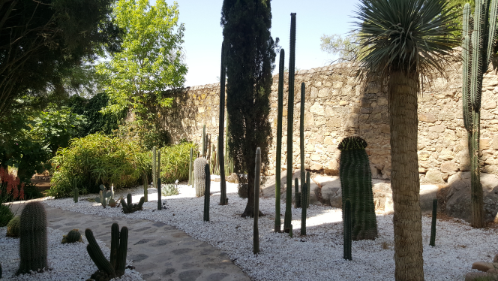 fitosanitarios Trujillo, España Diseño de jardines xerófilos